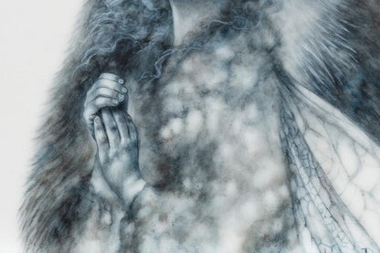 The Badger Faerie - Edition - Kerry Darlington